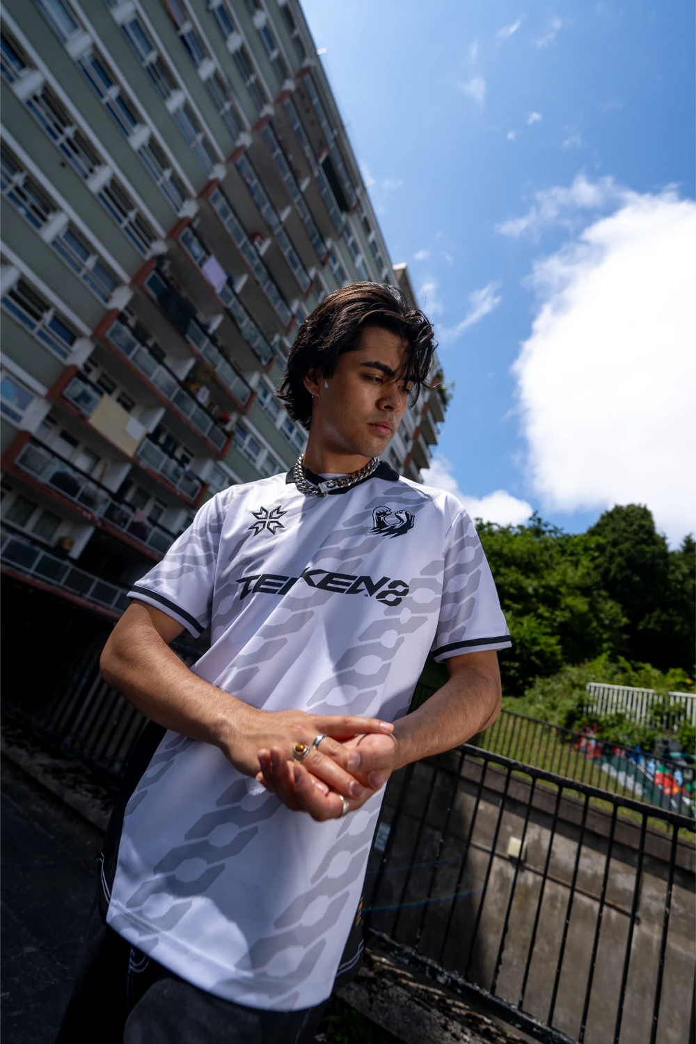  A bowl of falafel balls